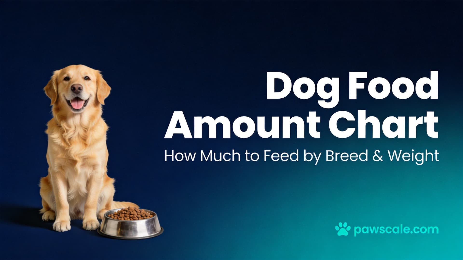 Dog Food Amount Chart: How Much to Feed by Breed & Weight