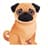 Pug