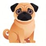 Pug
