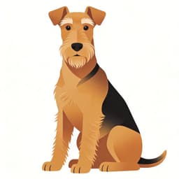 Airedale Terrier