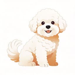 Bichon Frise