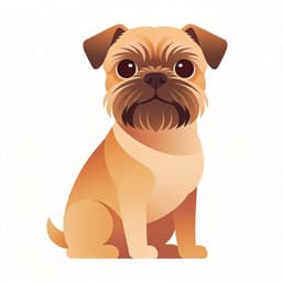 Brussels Griffon