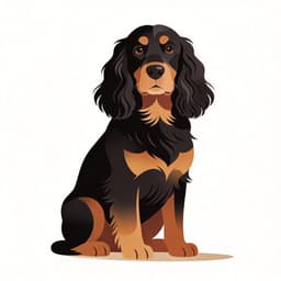 Field Spaniel
