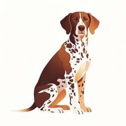 German Shorthaired Pointer