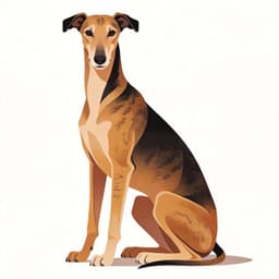 Greyhound