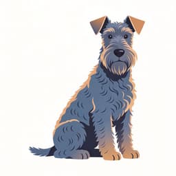 Kerry Blue Terrier