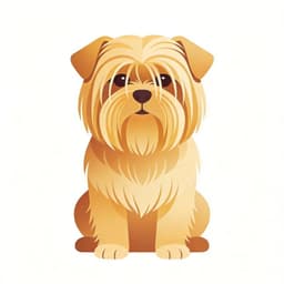 Lhasa Apso