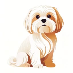 Maltese