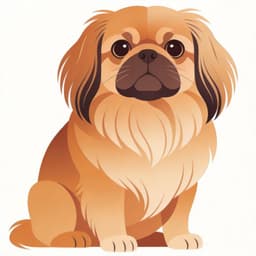 Pekingese