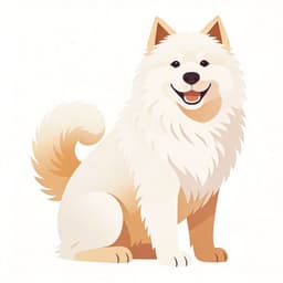 Samoyed