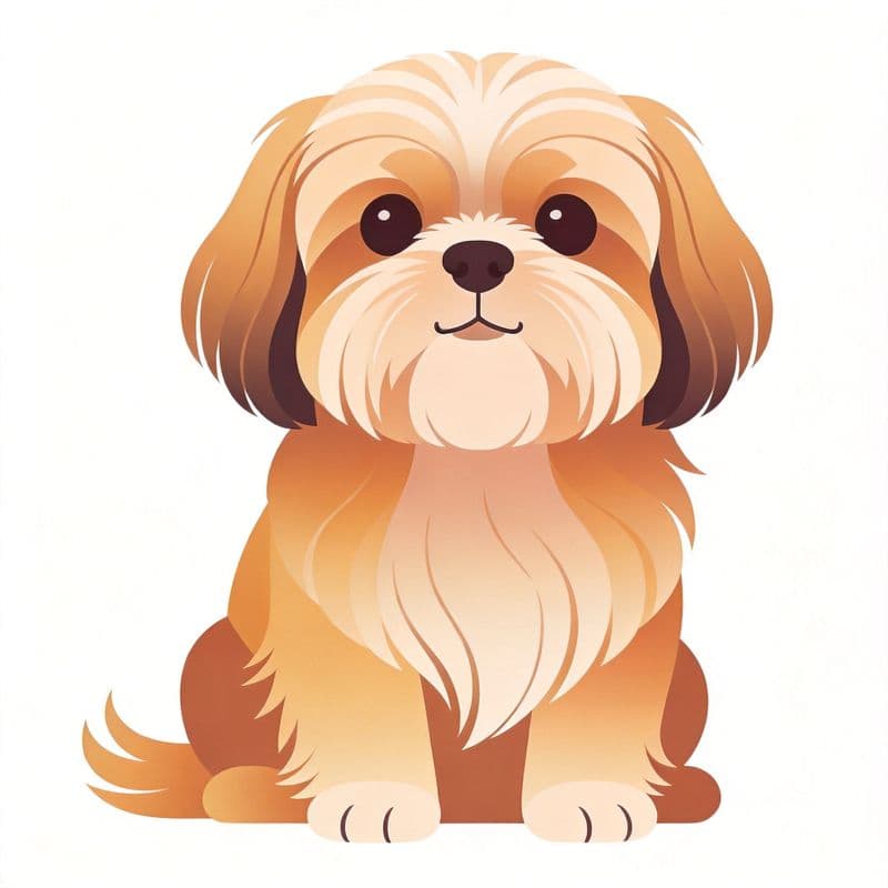 Shih Tzu